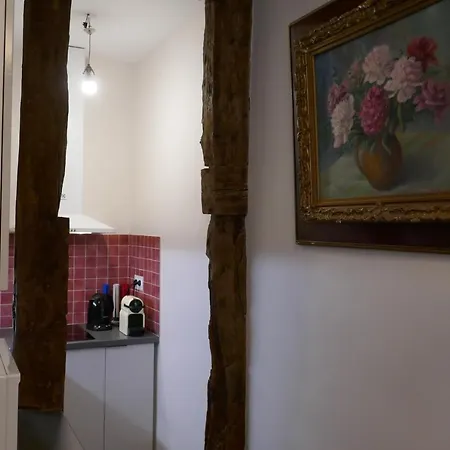 Near Louvre, Apartment