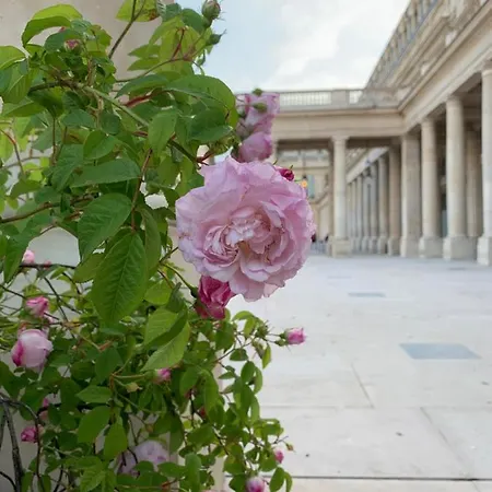 Near Louvre, Apartment *